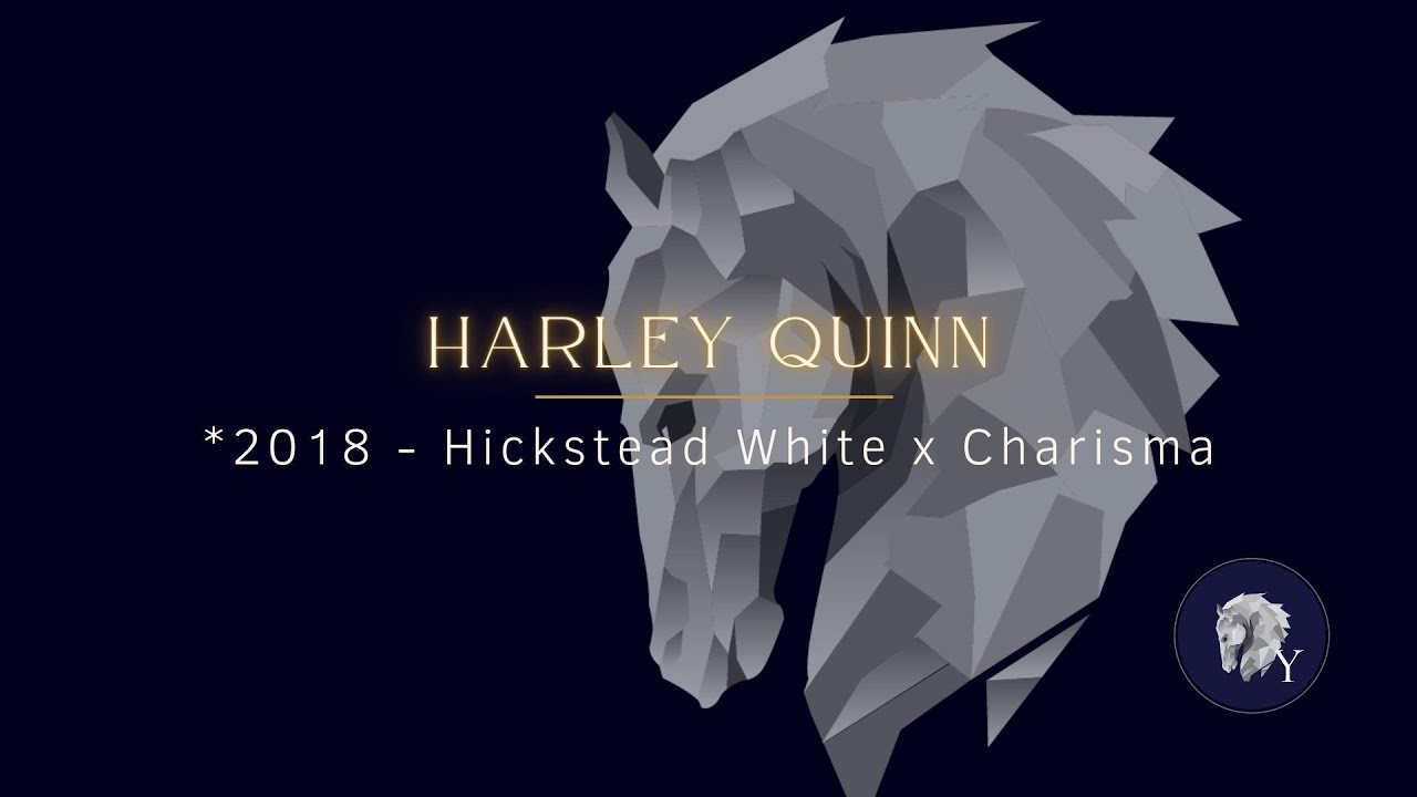 THE OFFER presents: Harley Quinn - *2018, Stute von Hickstead White x Charisma