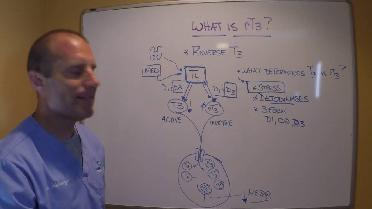 TTE26 Обратный T3, часть 2. Что определяет, преобразуется ли T4 в T3 или в rT3?