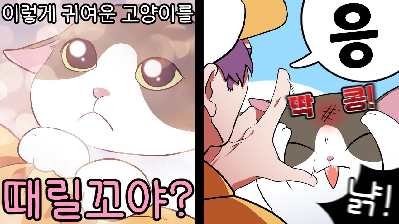 어딜 귀여움으로 무마하려고