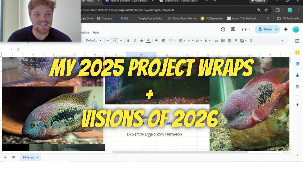 2025 Fish Project Wrapped