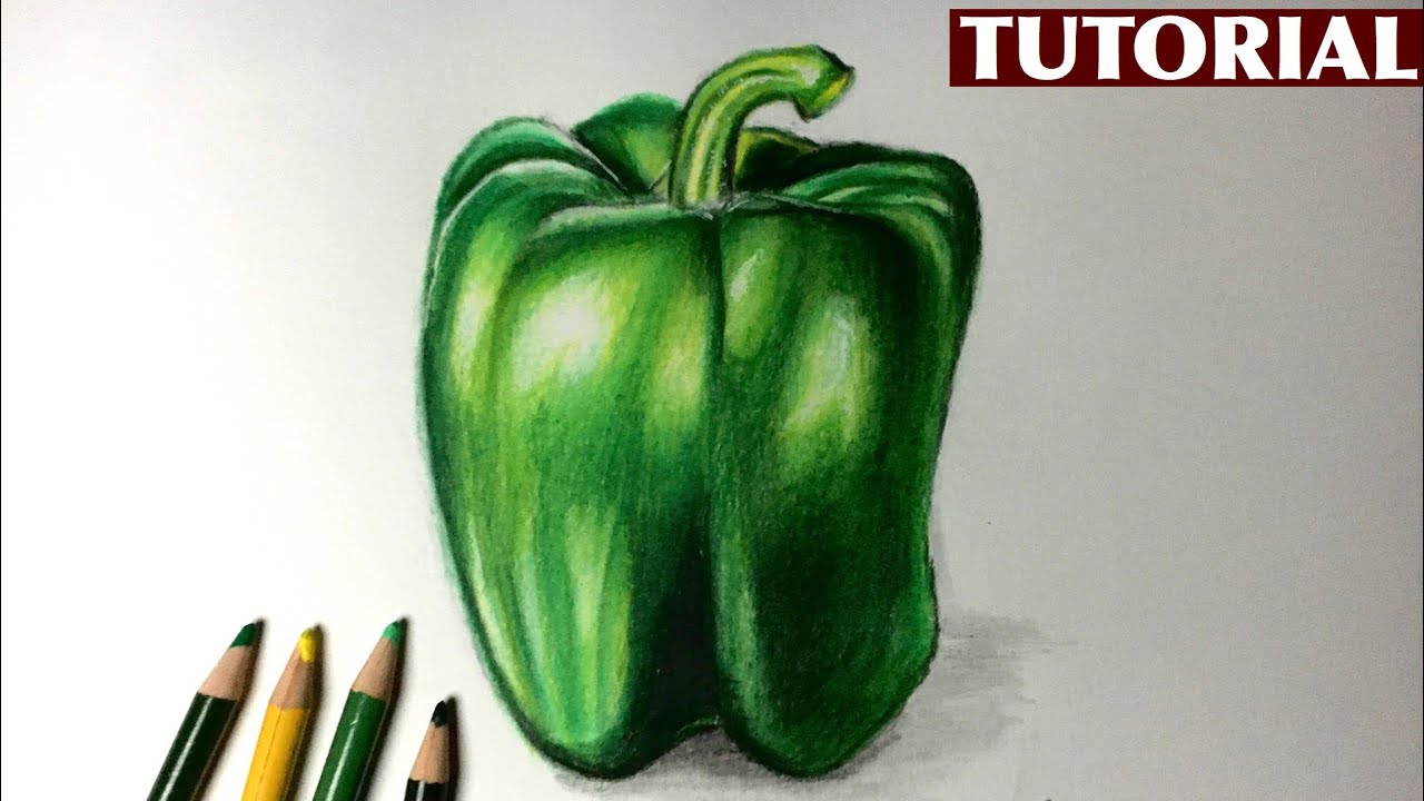 Draw Bell Pepper with Pencil Colors| TUTORIAL for BEGINNERS