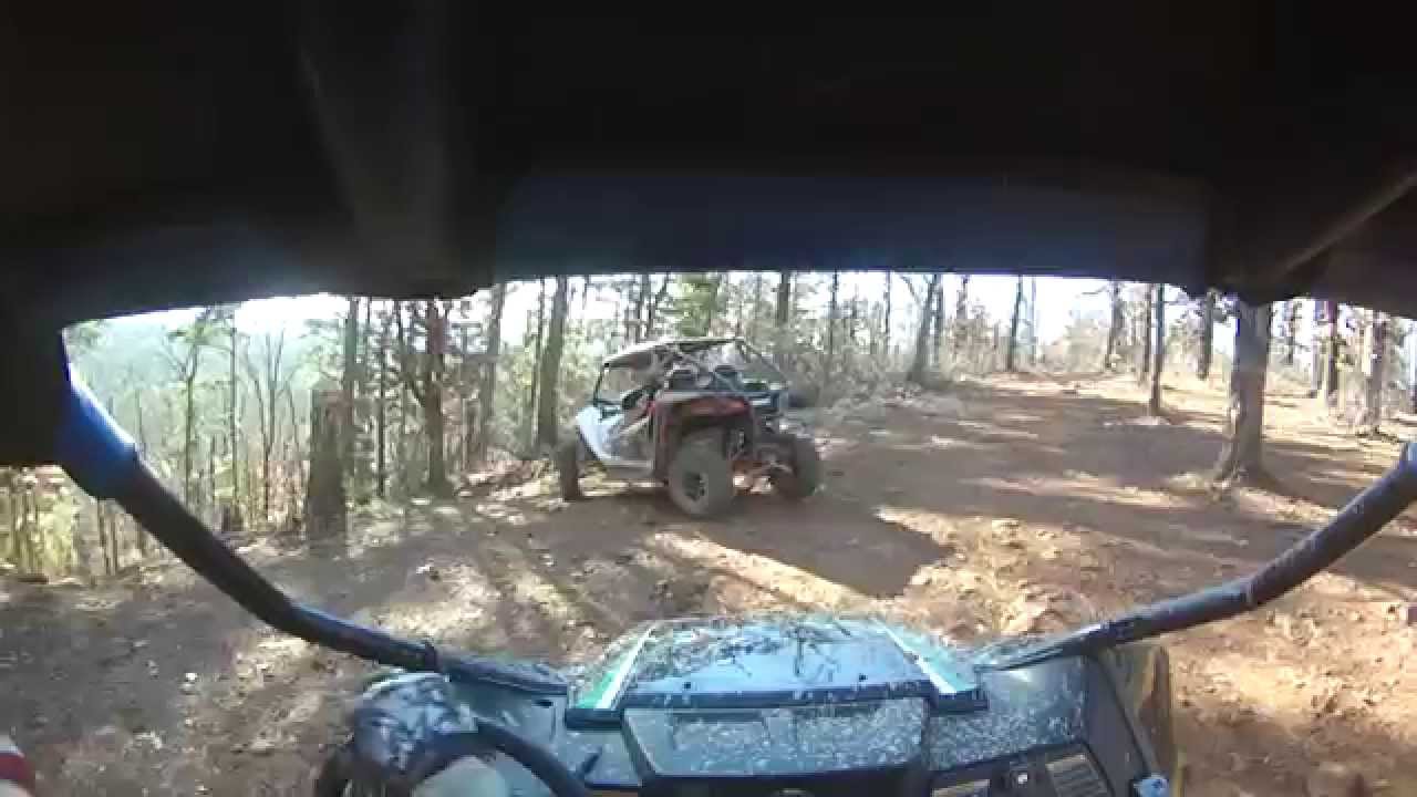 Wildcat chases Trail Sport Limited vid 1 -  Barnwell 1-17-2015