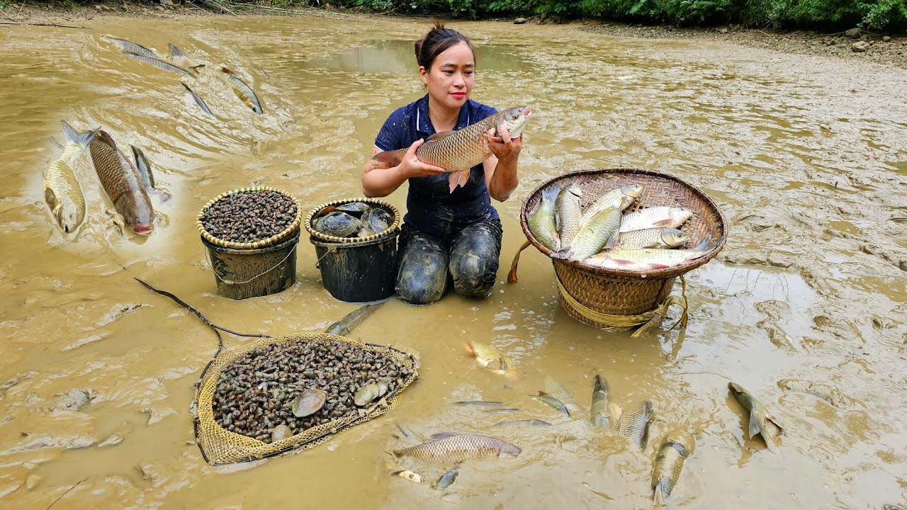 Process Harvesting Fish & snails in farm - Grilled fish - Cooking - Puppy.