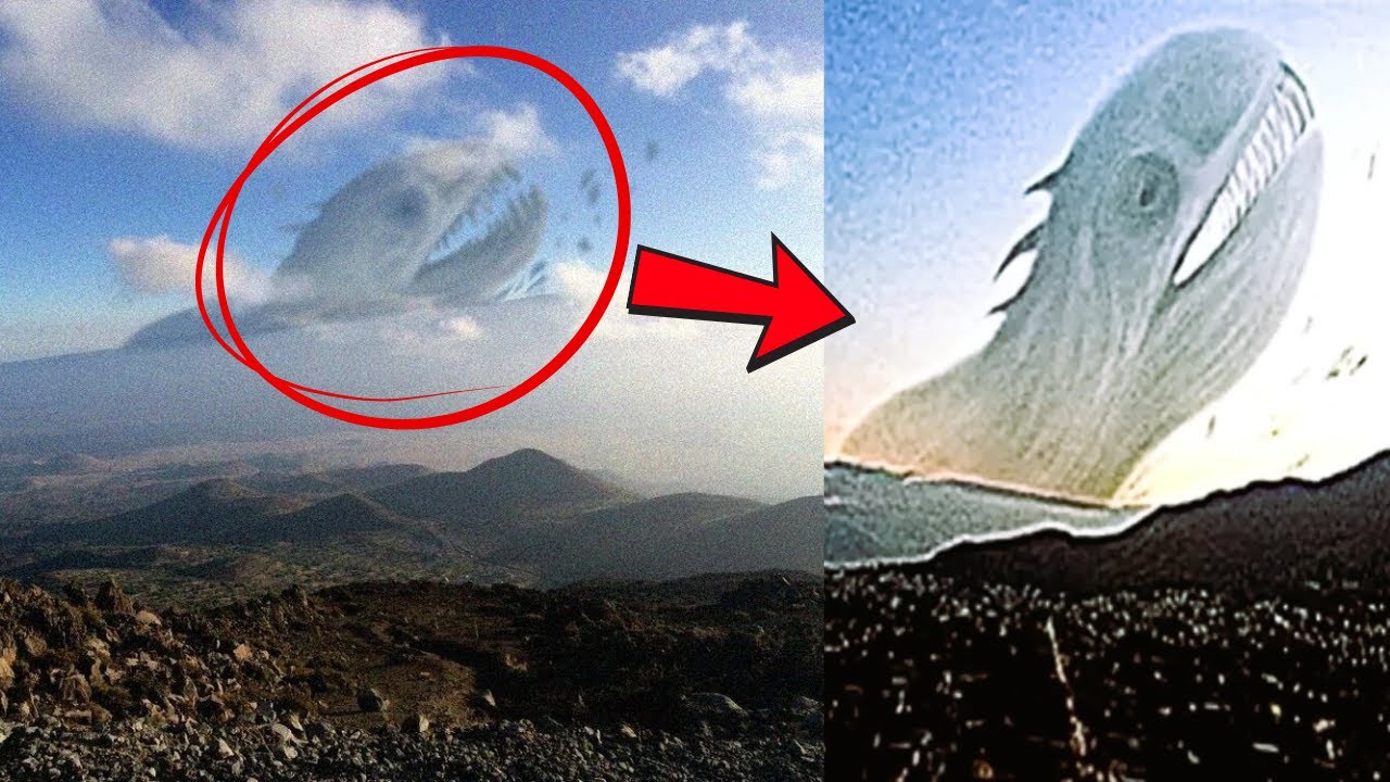 THỰC THỂ KHỔNG LỒ NHẤT? TRONG VŨ TRỤ TREVOR HENDERSON | BEHEMOTH