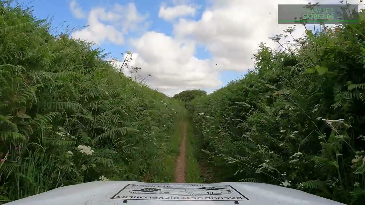 Green Lanes in a Dacia Duster - Unnamed Lane, Harbertonford/Halwell, Devon