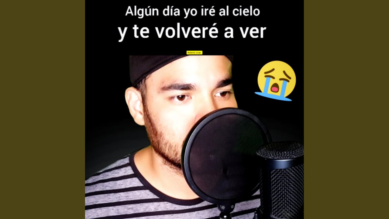 Te volvere a ver