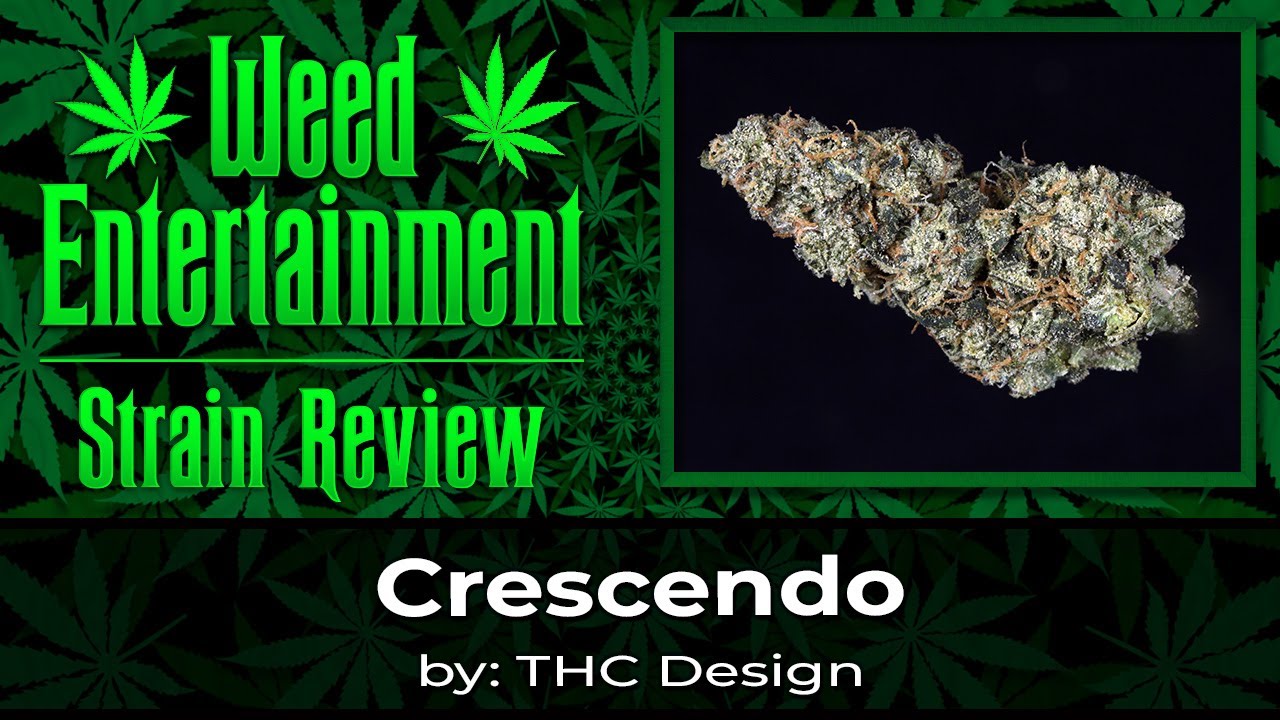 Crescendo - by THC Design - Review - March 2024