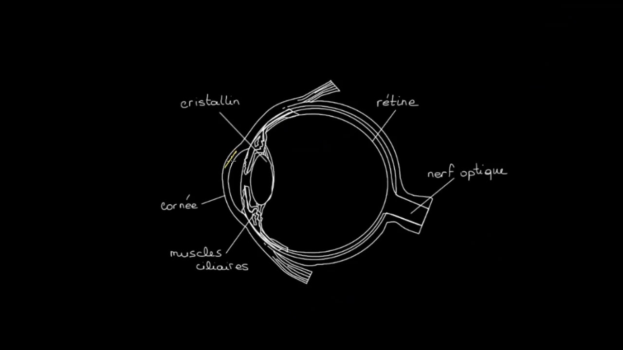 Dioptrie, aberration et œil humain