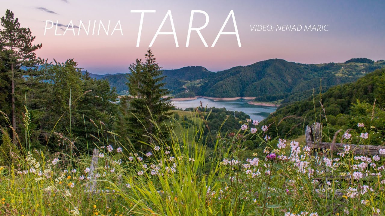 Planina Tara