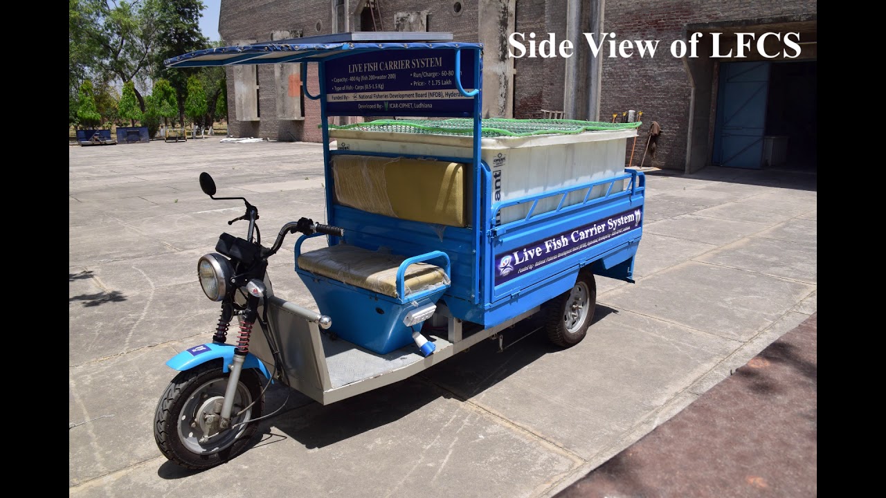 Live Fish Carrier System