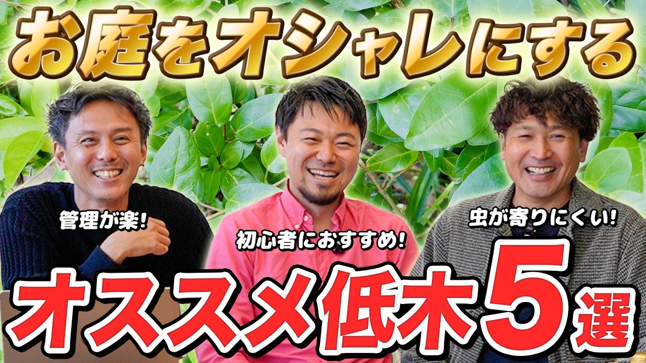 【コラボ企画】初心者向け~上級者向けまで！植物のプロが選ぶ絶対に失敗しない低木5選を紹介