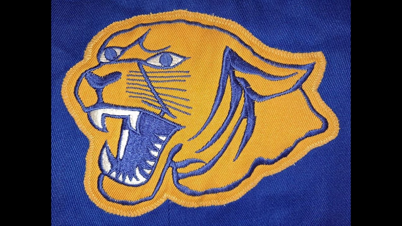 Marching Cougars Rocking in the Stands | Surry County High School 98'-99'