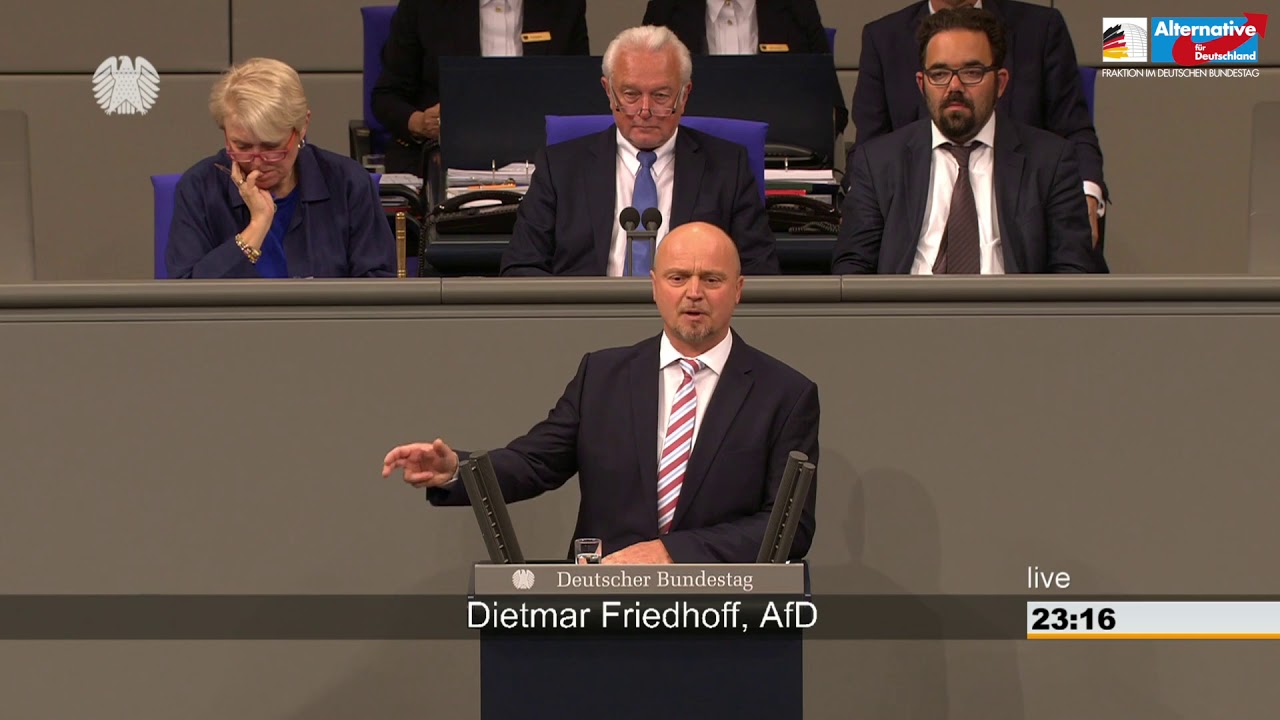 Sie h&ouml;hlen unsere Sozialsysteme aus! - Dietmar Friedhoff - AfD-Fraktion im Bundestag