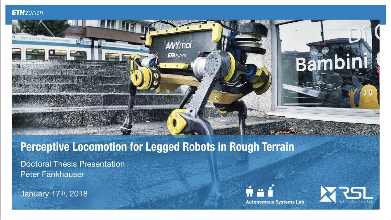 Péter Fankhauser – Doctoral Thesis Presentation
