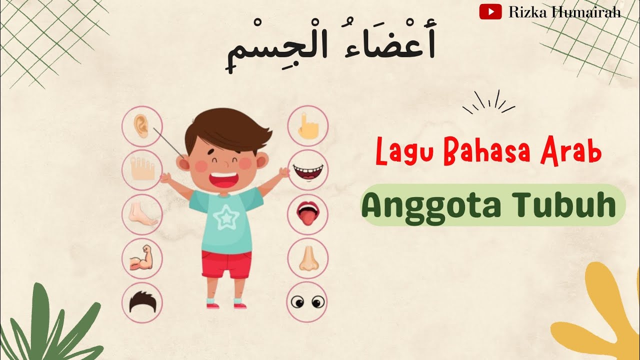 LAGU BAHASA ARAB ANGGOTA TUBUH (أَعْضَاءُ الْجِسْمِ) | POPULER 2023 #laguanak #nurseryrhymes