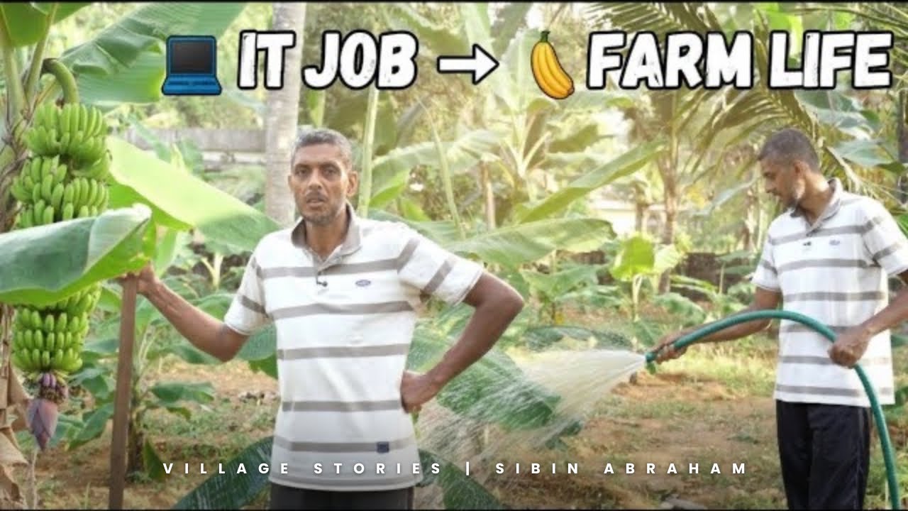 From IT Office to Organic Farming 🌱💻 | IT Professional’s Banana Farm in Thiruvalla 