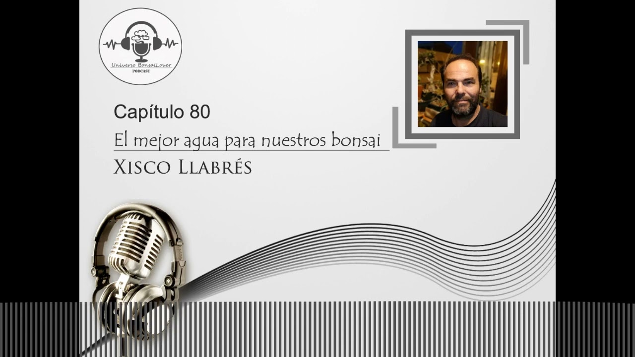 Capítulo 80.- El mejor agua para nuestros bonsai. Xisco Llabrés