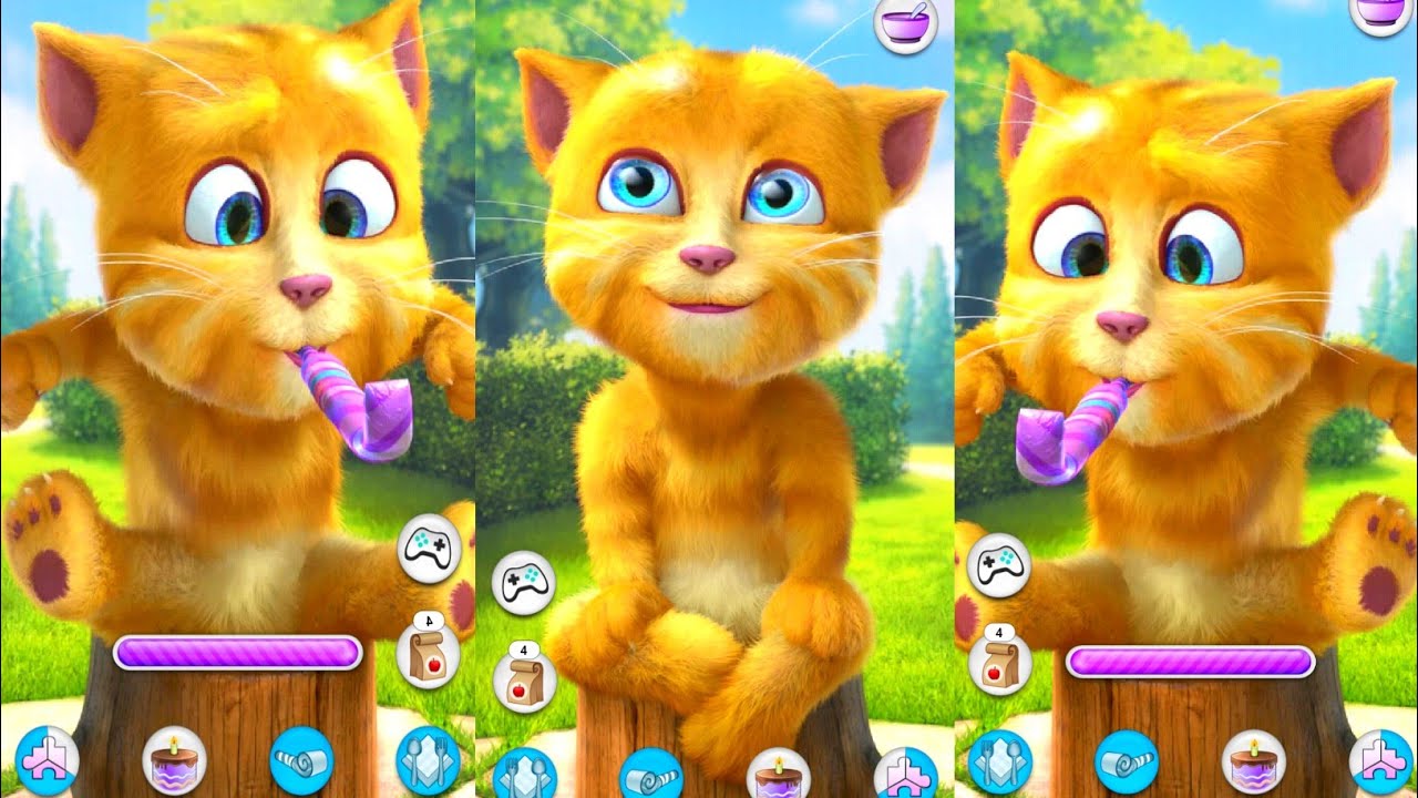 Viral talking Ginger cat। Don't miss End 🍒🫖🍄🍔🐈‍⬛☕️🍥🕺🍩🥳