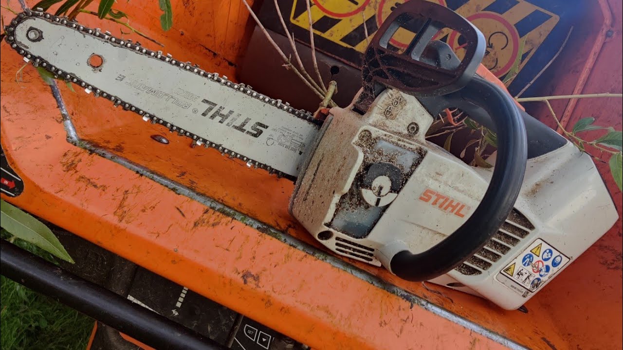 ELAGAGE D'UN SAULE MSA 161 T STIHL