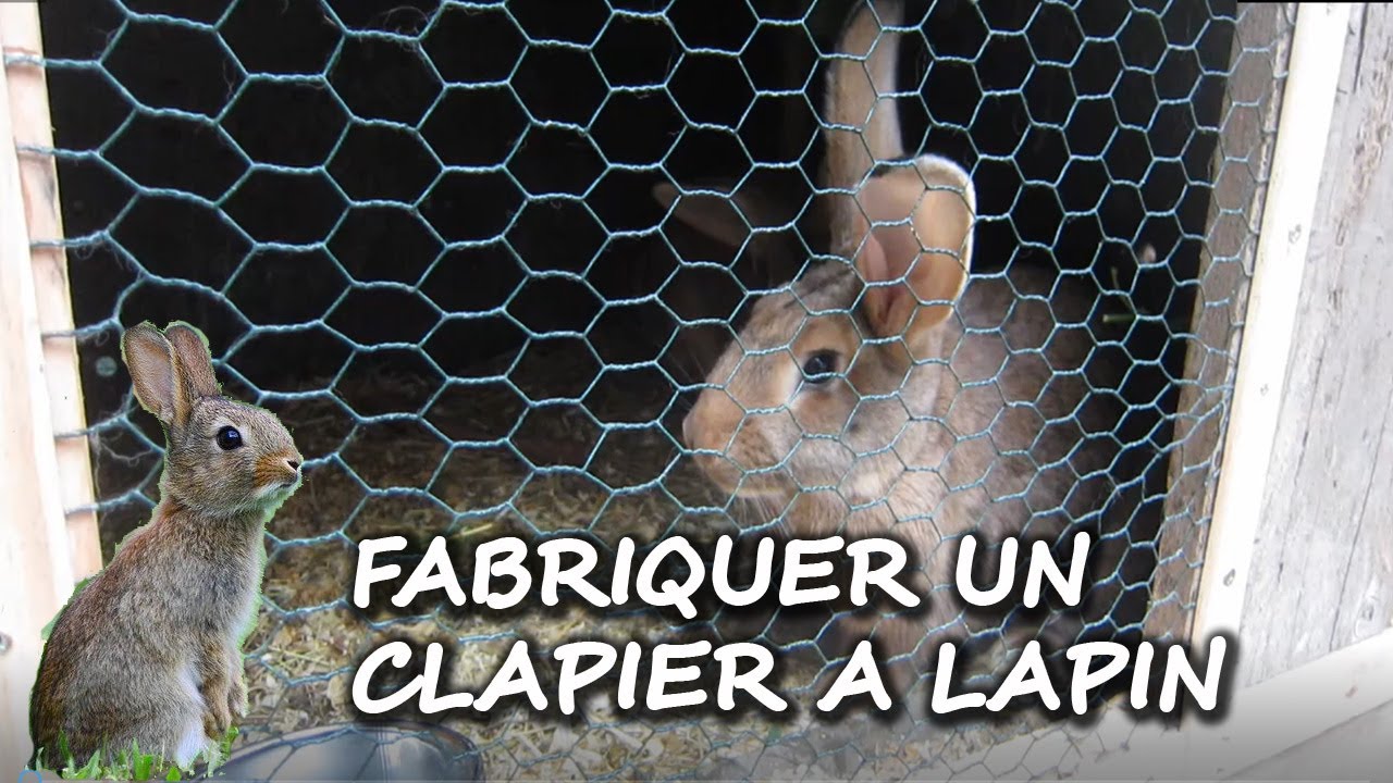 Fabriquer un Clapier &agrave; Lapin