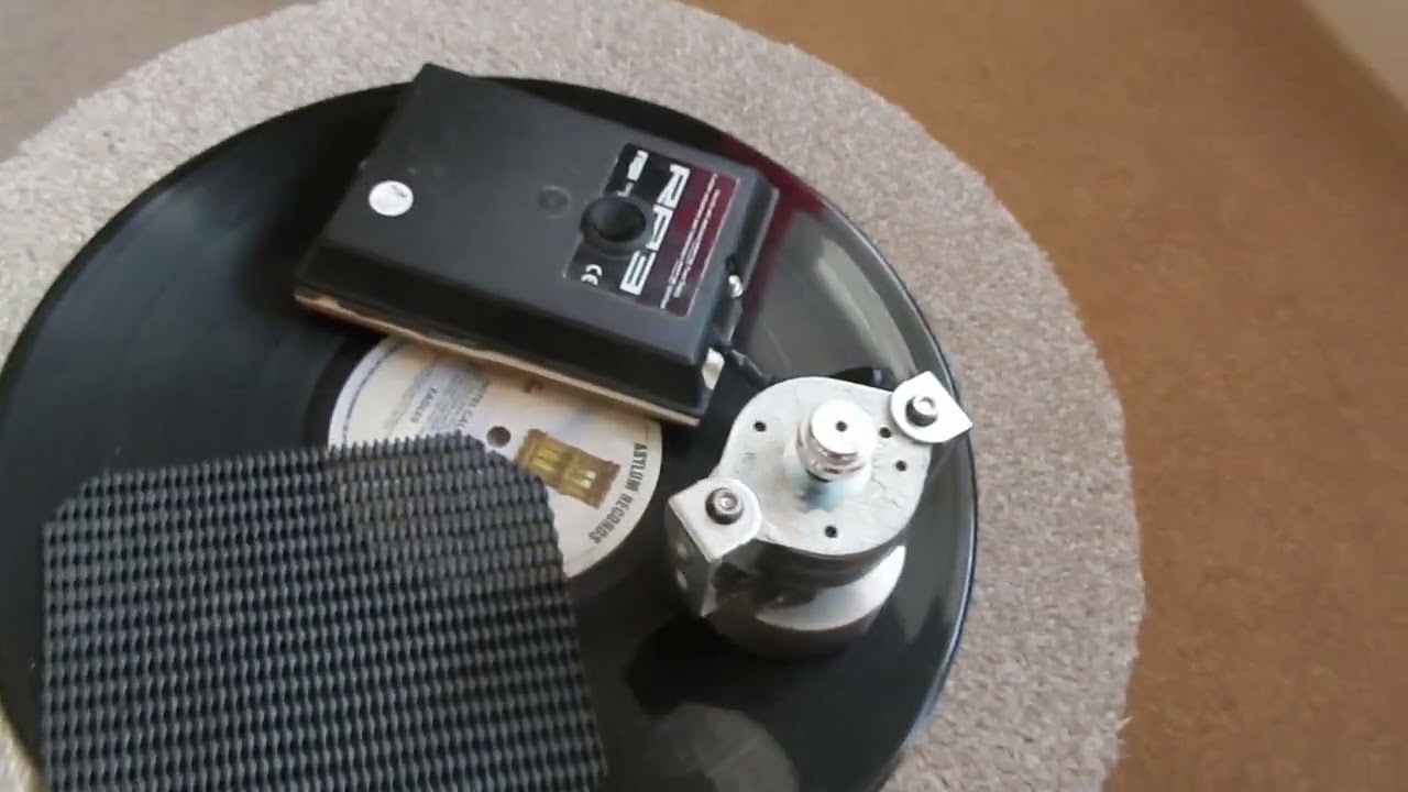 Rega 24 volt motor.