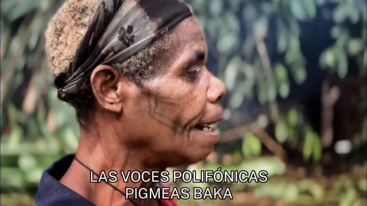 LAS VOCES POLIFÓNICAS. PIGMEAS BAKA.