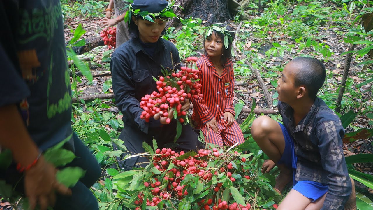 I Climbed a Giant Tree to Pick This Rare Wild Fruit!  (Nephelium litchi)