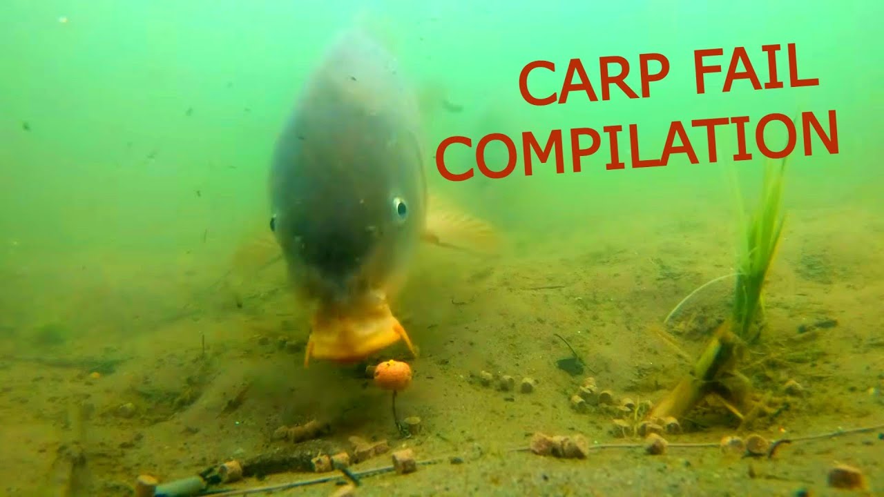 Underwater carp camera - Fail compilation