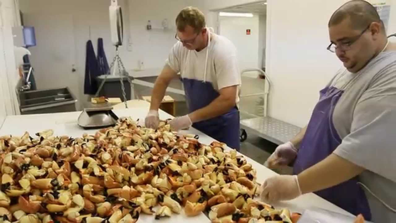 Seasons of Seafood - Stone Crab