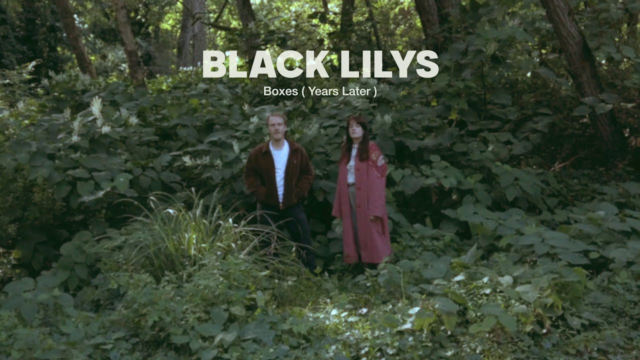BLACK LILYS - Boxes ( Years Later ) [ Official Audio ]