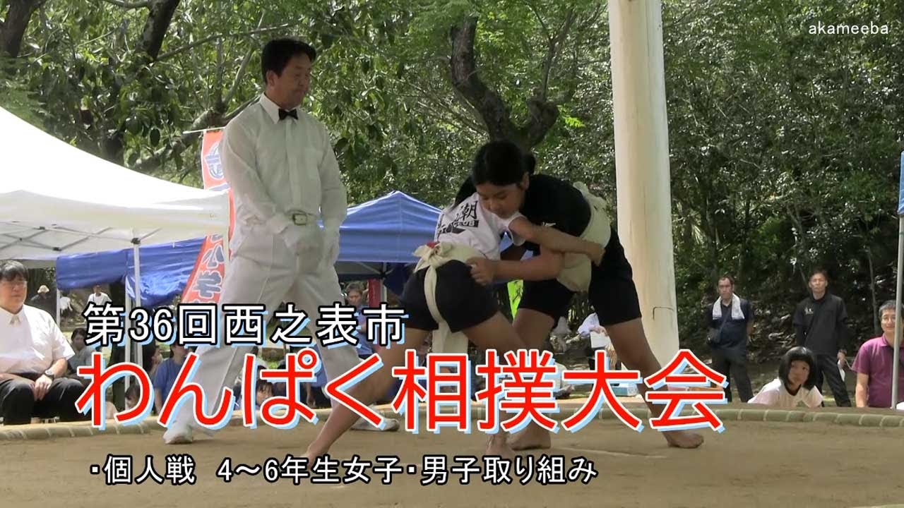 種子島のイベント：第36回西之表市わんぱく相撲大会 個人戦4～6年生女子・男子取り組みダイジェスト