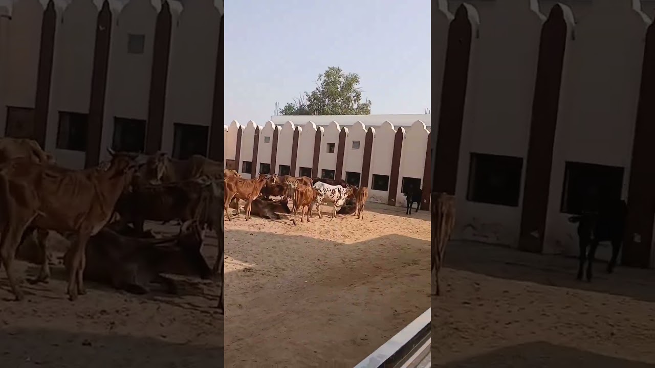 क्या कर दिया अभी सुन 