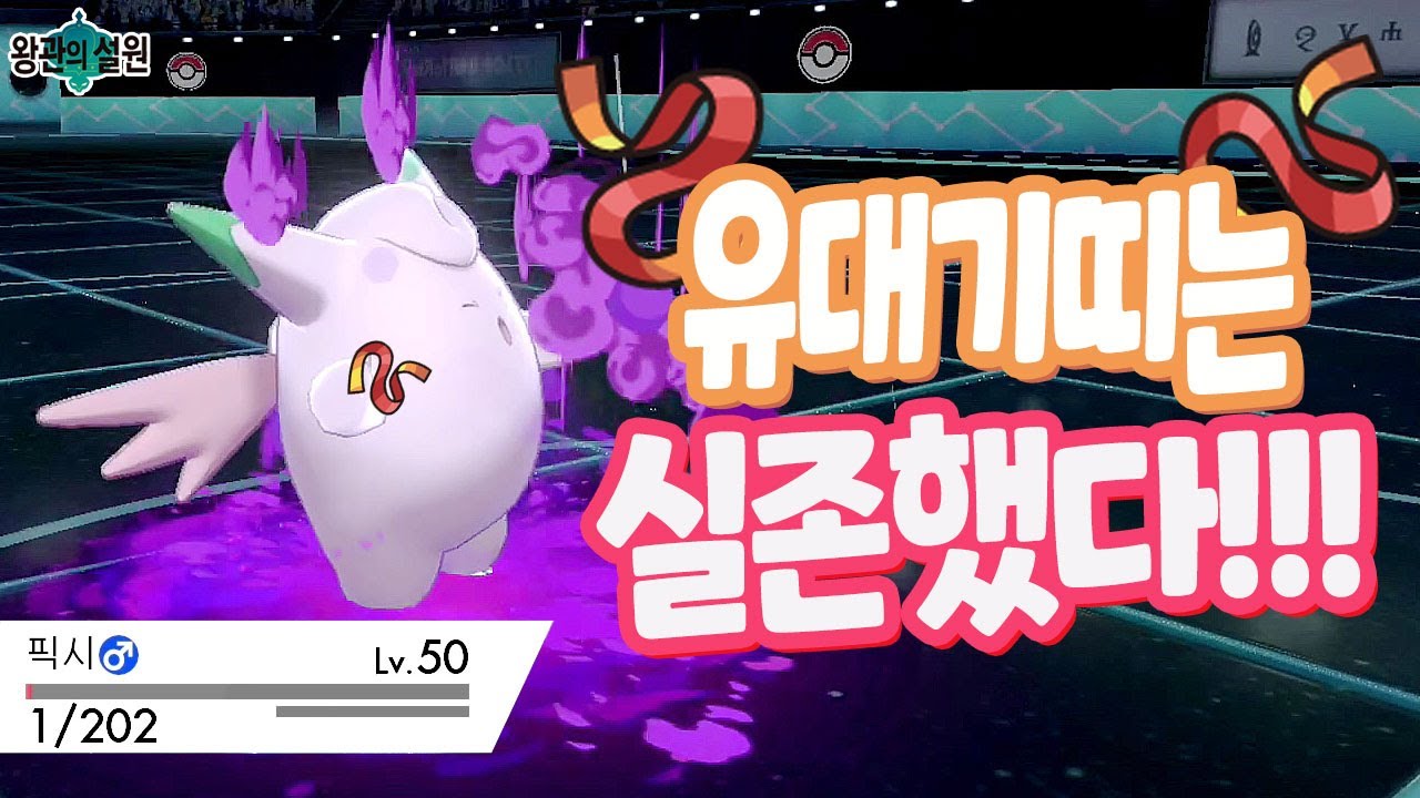 전설속의 유대기띠는 실존했습니다! [포켓몬스터 소드 실드 마스터볼 랭크 찍기]
