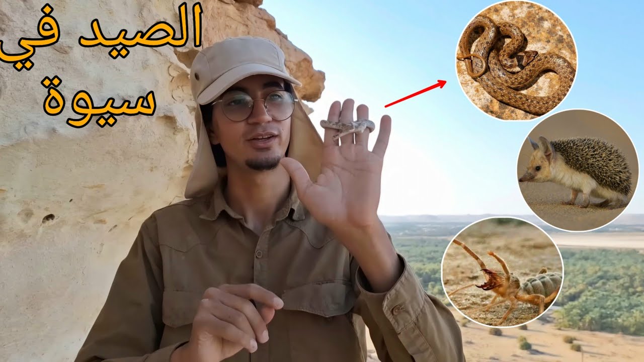 الحياة البرية في واحة سيوة _ الجزء الأول