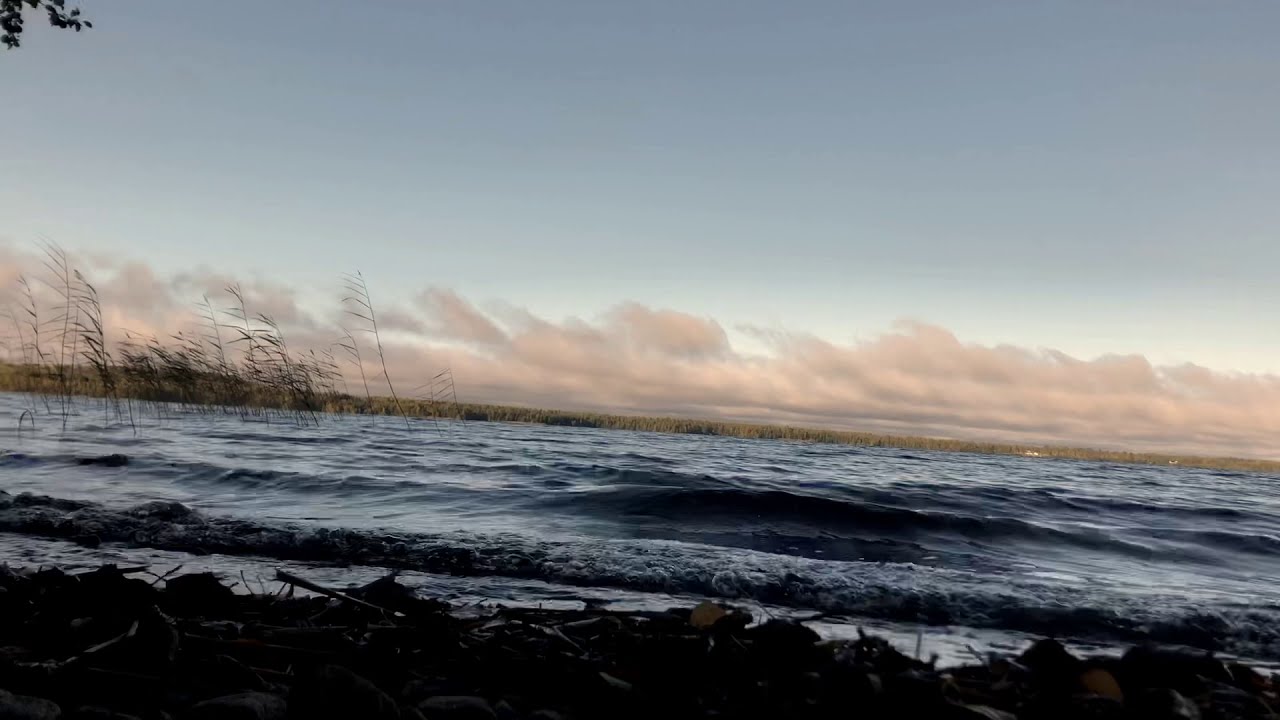 WAVES AND SOLITUDE 🌊 | ASMR NATURE AMBIENCE | NO TALKING