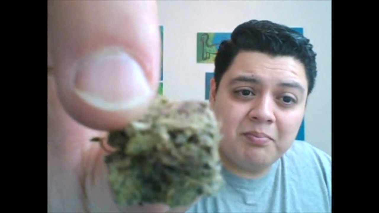 Montana Silvertip By Pullmans Finest recreational cannabis review