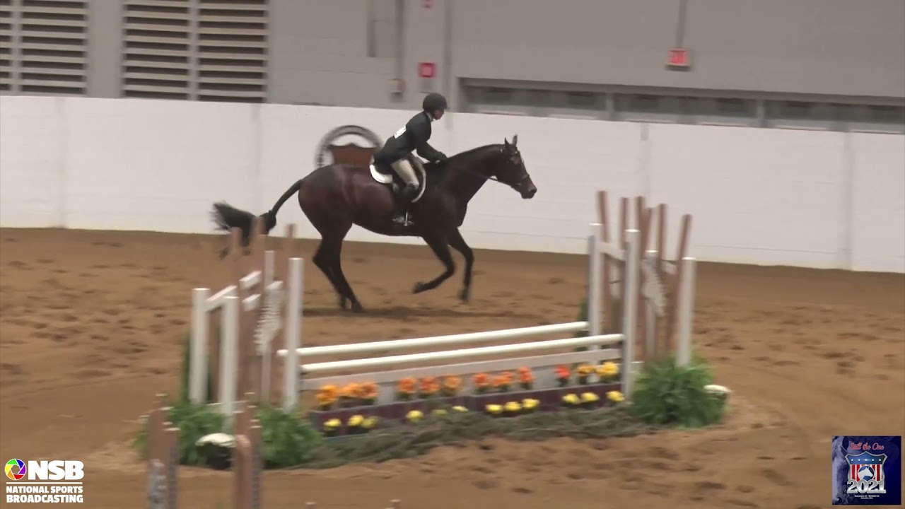 2021 Quarter Horse Congress Non Pro Hunter Classic Finals Morgan Ratkowski on Better Buy The Minit