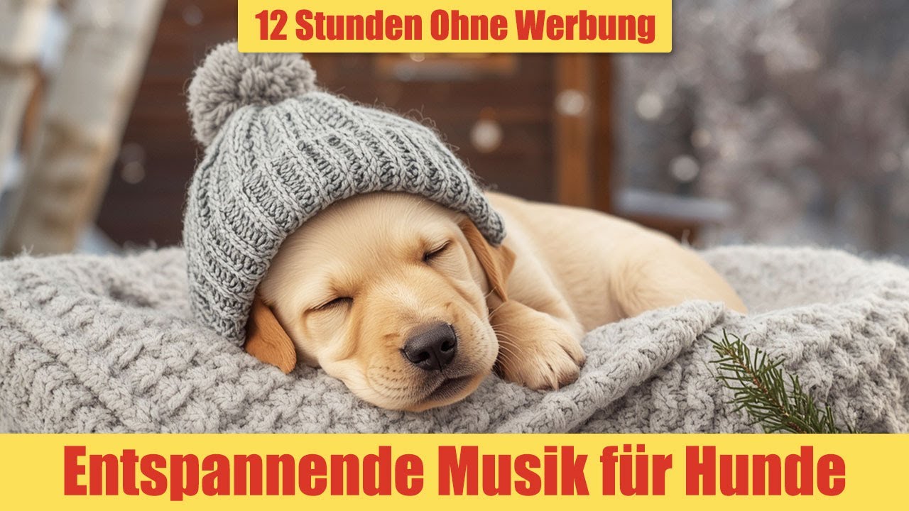 Entspannungsmusik für Hunde - 12 Stunden Ohne Werbung | Sanfte Einschlafmusik_vol.19