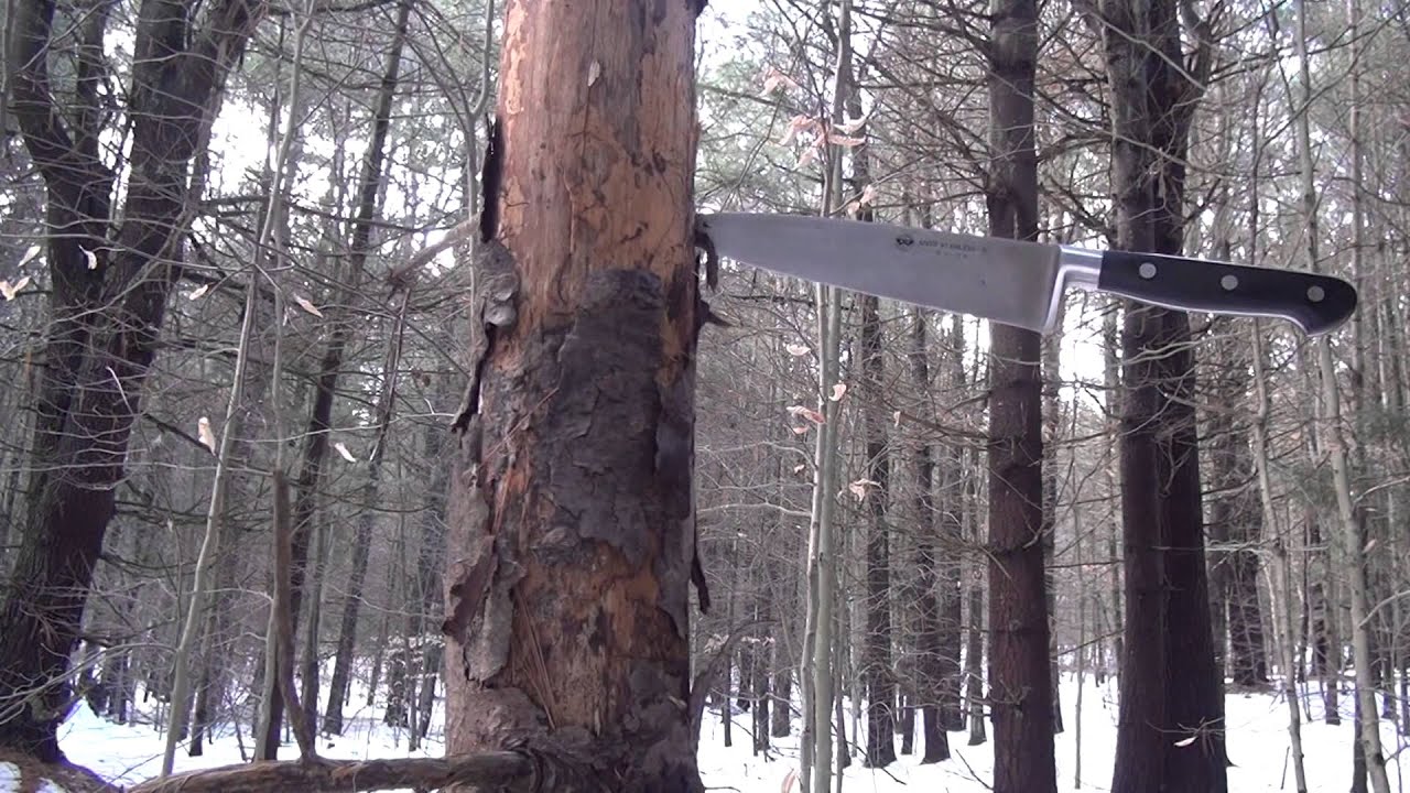 Can you use a Butcher Knife for a Survival Knife?