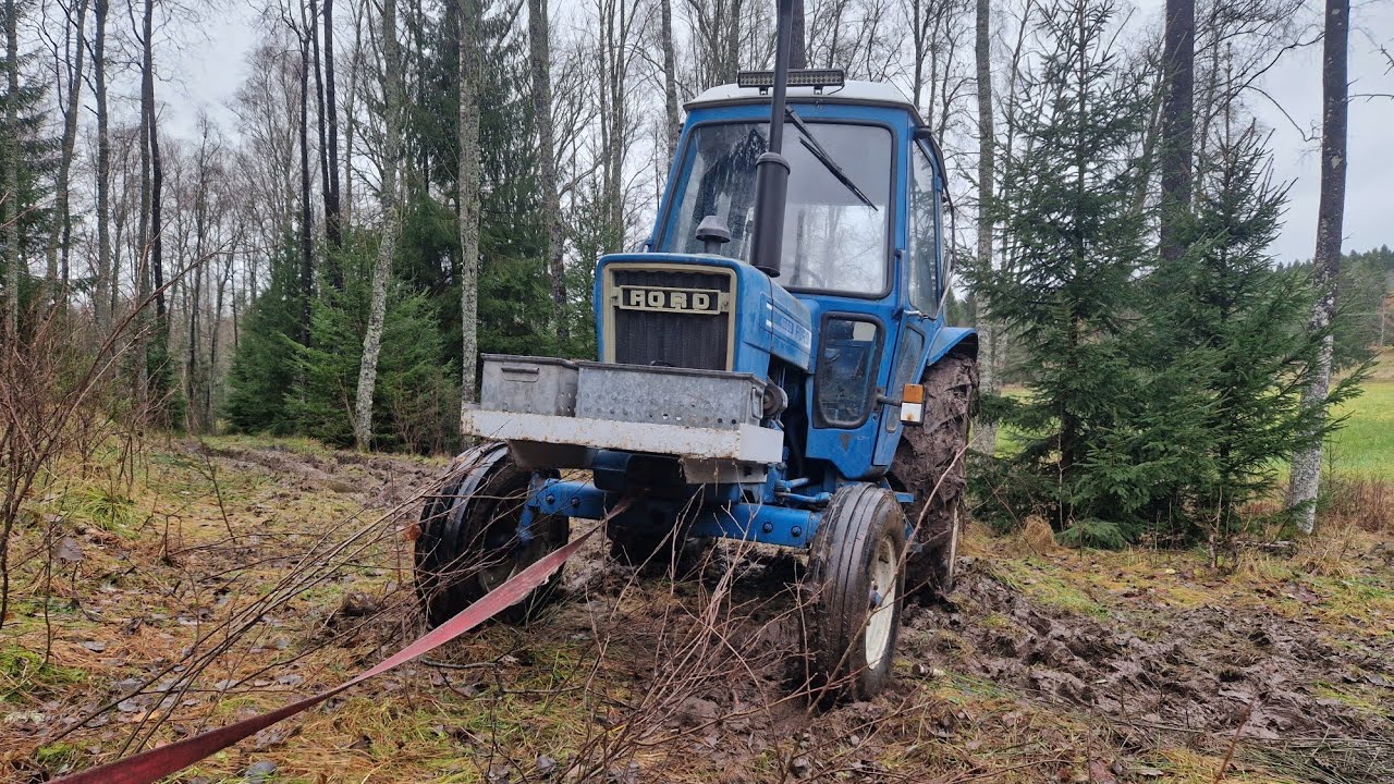 Gallrar i granplanteringen!