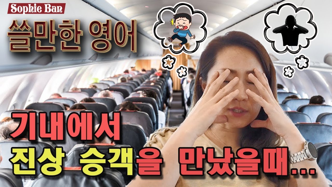 쓸만한 영어 - 기내에서 진상 승객을 만났을때 -  컴플레인 영어표현