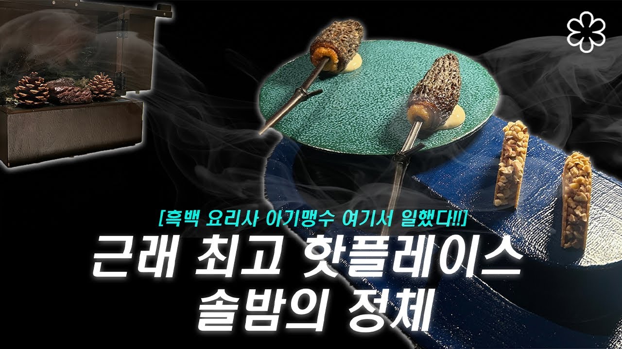 오로지 아기 맹수 보러 갔다가 식사만 맛있게 하고 온 날