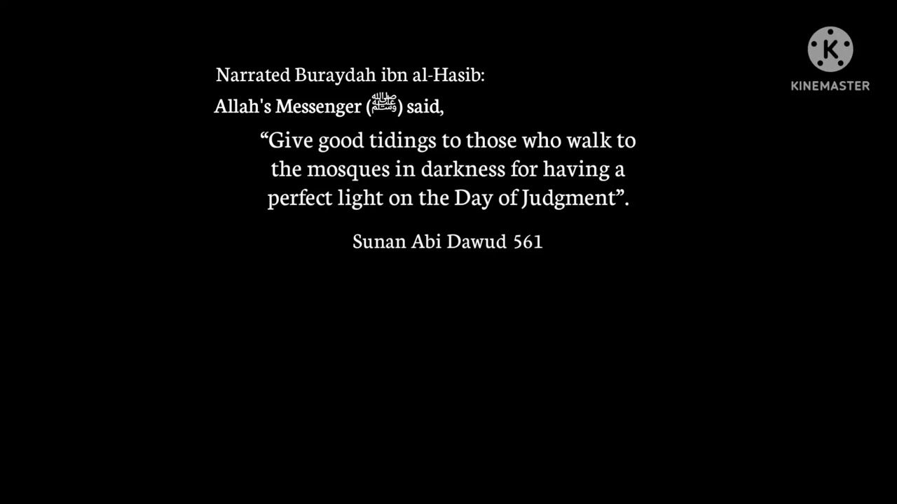 🌹| Sunan Abi Dawud