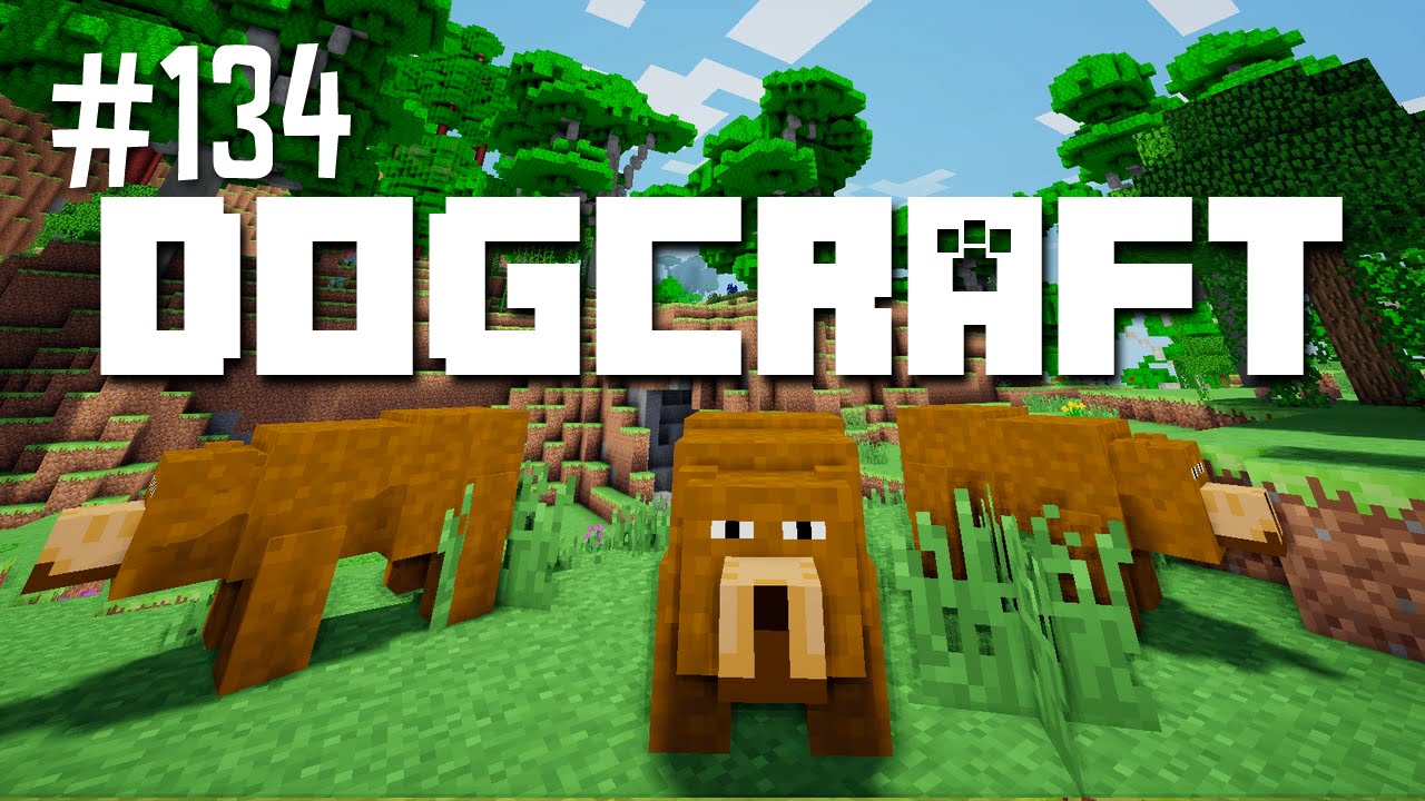 Stacy and the Three Bears | Dogcraft (Ep.134)