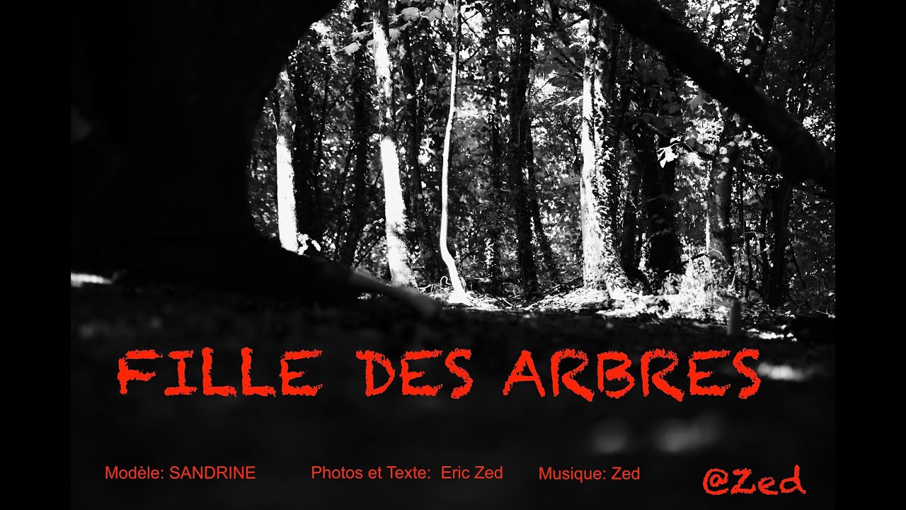 Fille des Arbres par Eric Zed (2025)