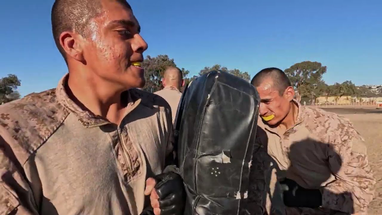 What's PHASE 1 in USMC BOOT CAMP Like? MARINE CORPS RECRUIT TRAINING AT MCRD SAN DIEGO-BRAVO 2024