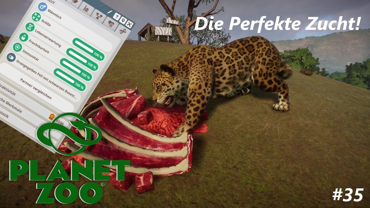 Die Perfekte Zucht! | Planet Zoo #35