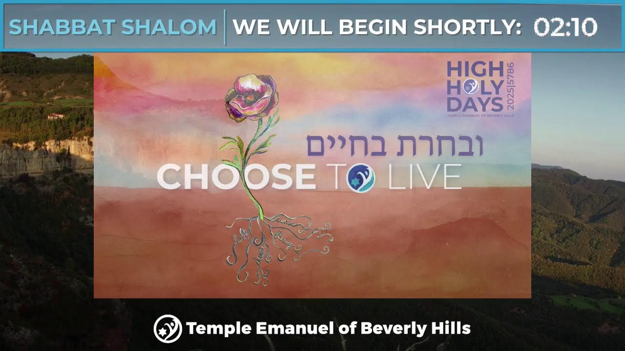 Shabbat Morning @ Emanuel (1/31)