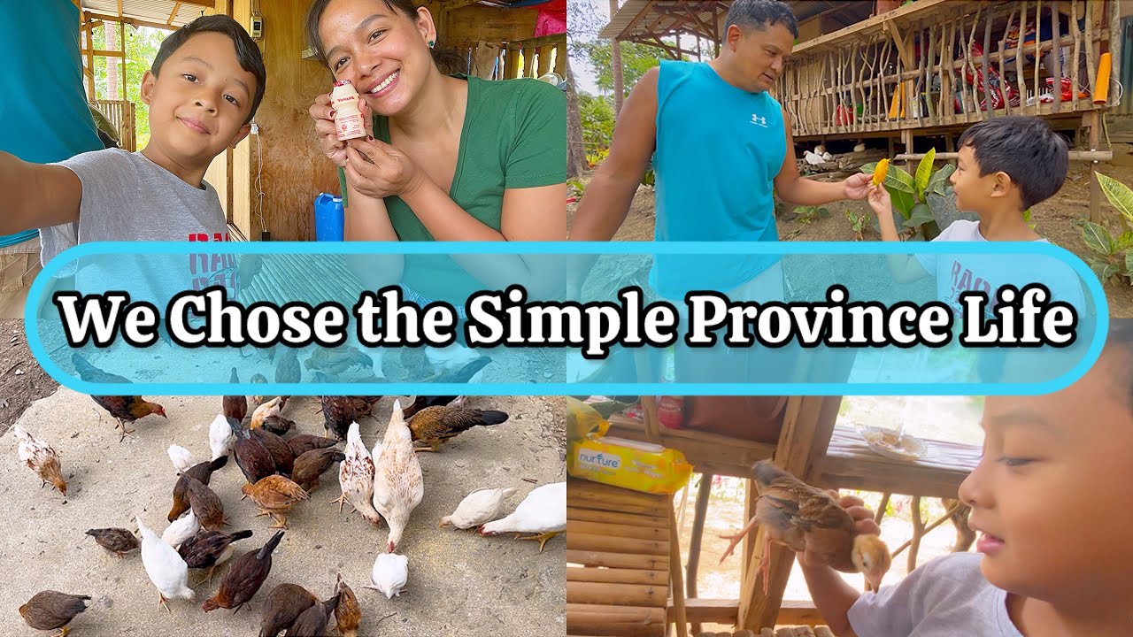 Our Life Now 🌾 | A Simple Day on the Farm 