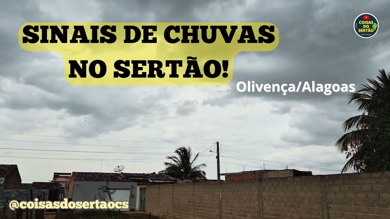 Chuvas no sertão nordestino #nordeste #alagoas 